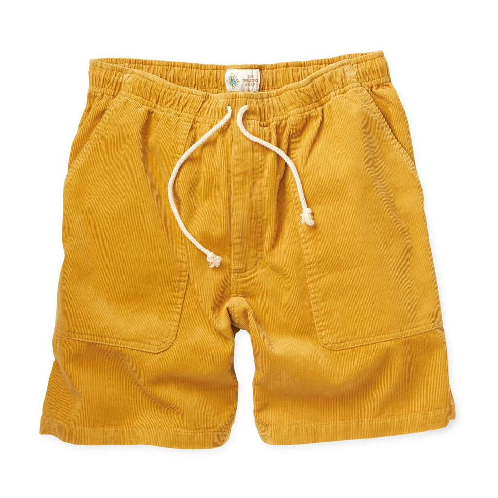 mens corduroy shorts